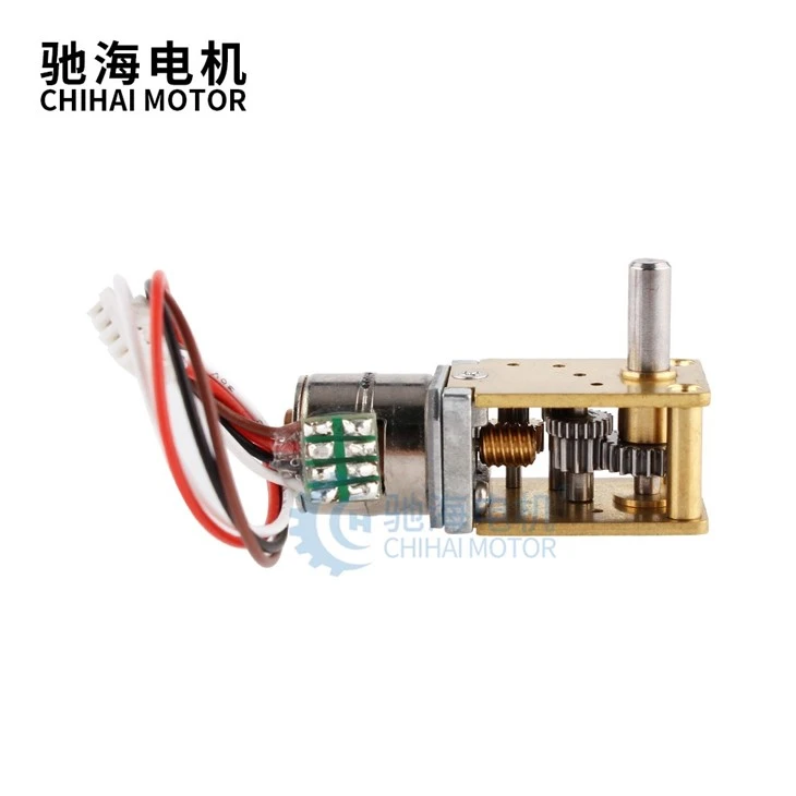 Brushless Stepper Worm Gear Motor Brushless Stepper Worm Gear Motor